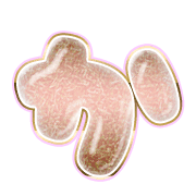 006