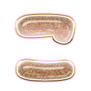 010