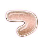 018