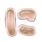 022