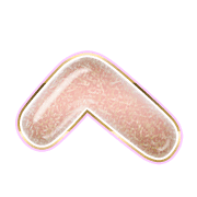 029