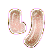 040