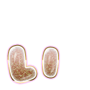 048