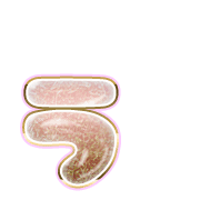 049