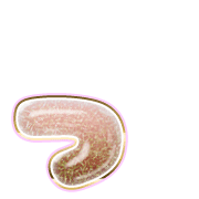 052