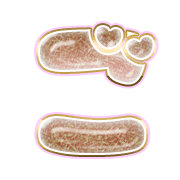060