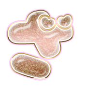 061