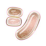 092