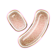095