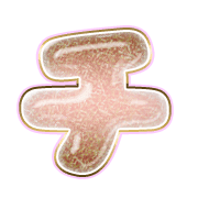 097