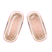 106