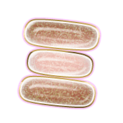 112