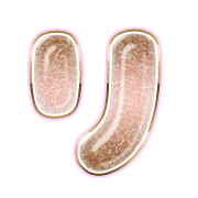 120