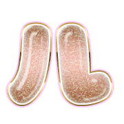 121