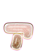 127