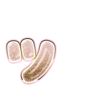132