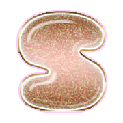 180