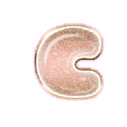 190