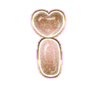 196
