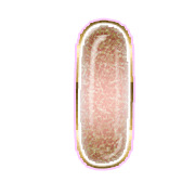 199