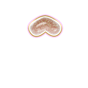 231