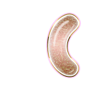 234
