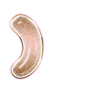 235