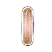 242