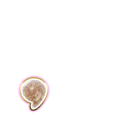 245