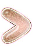 249