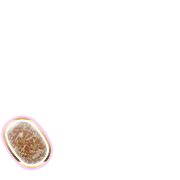 256