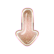 261