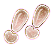 268