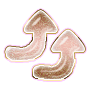 270