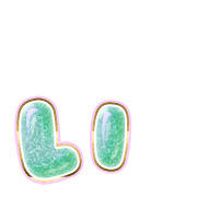 048