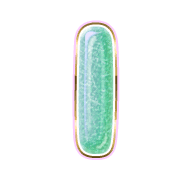 242