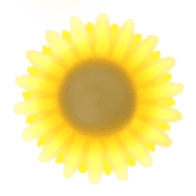 024