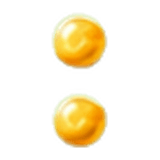 244