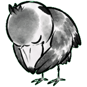 016