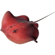 022