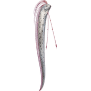 029