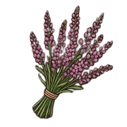 022
