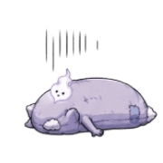 019