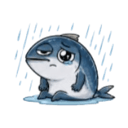 019