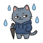 031