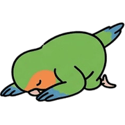 005