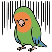 016