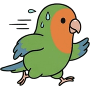 031