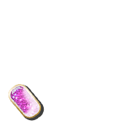256