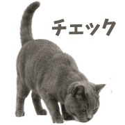 027